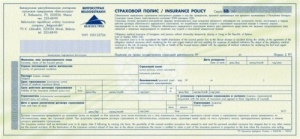 Страховой полис (Белгосстрах)